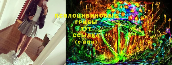 стаф Абаза