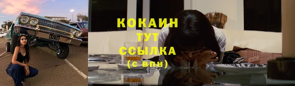 стаф Абаза