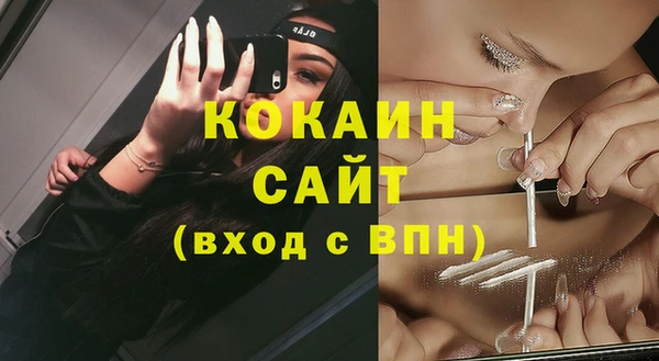 стаф Абаза