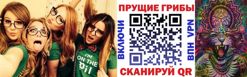 Псилоцибиновые грибы Psilocybine cubensis Иланский