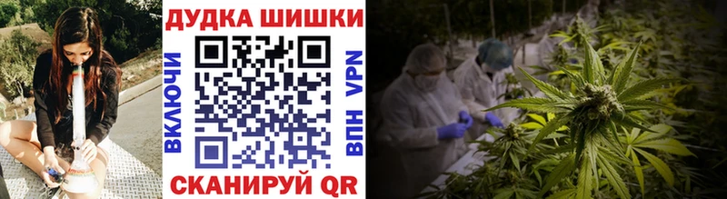 Бошки Шишки гибрид Иланский